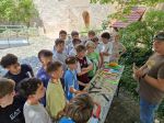 Klassenfahrten 5a/c und 8a 2026